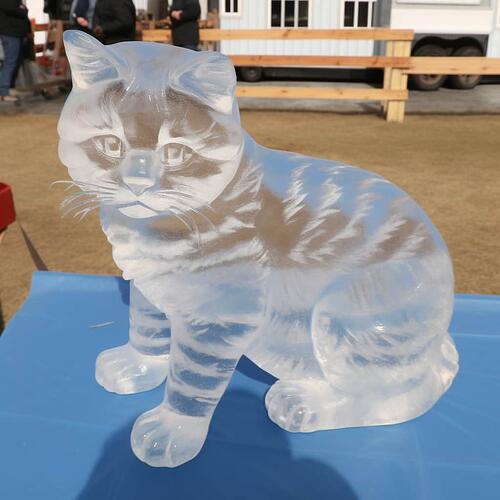 玻璃猫