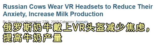 俄罗斯奶牛戴上VR眼镜减少焦虑提高牛奶产量