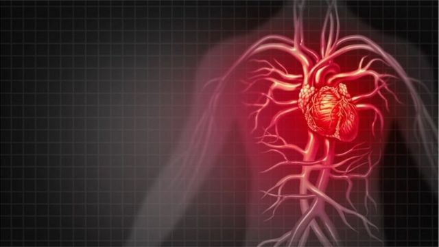 心血管疾病仍是人类健康的主要杀手之一